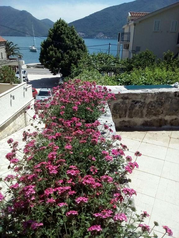 Apartmani Villa Radovic Risan Exterior foto